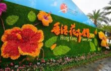 Chinaews.com，香港花展上的三维花墙