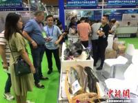 广州举办了渔交会，吸引外商前来洽谈